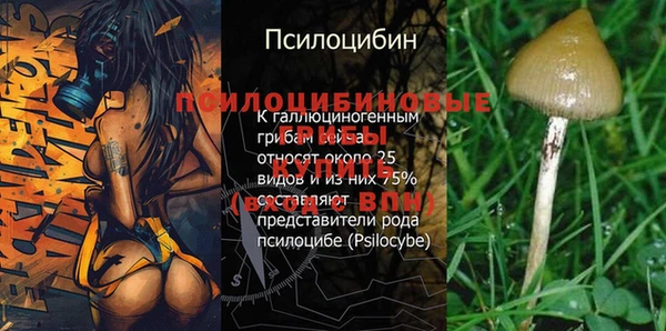 альфа пвп Коряжма