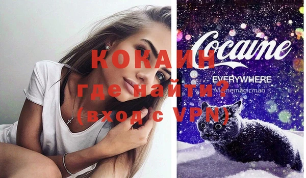 мяу мяу мука Корсаков